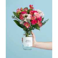 Read LVLY Reviews